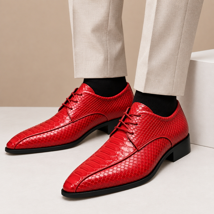 Vesparo Genuine Leather Shoes
