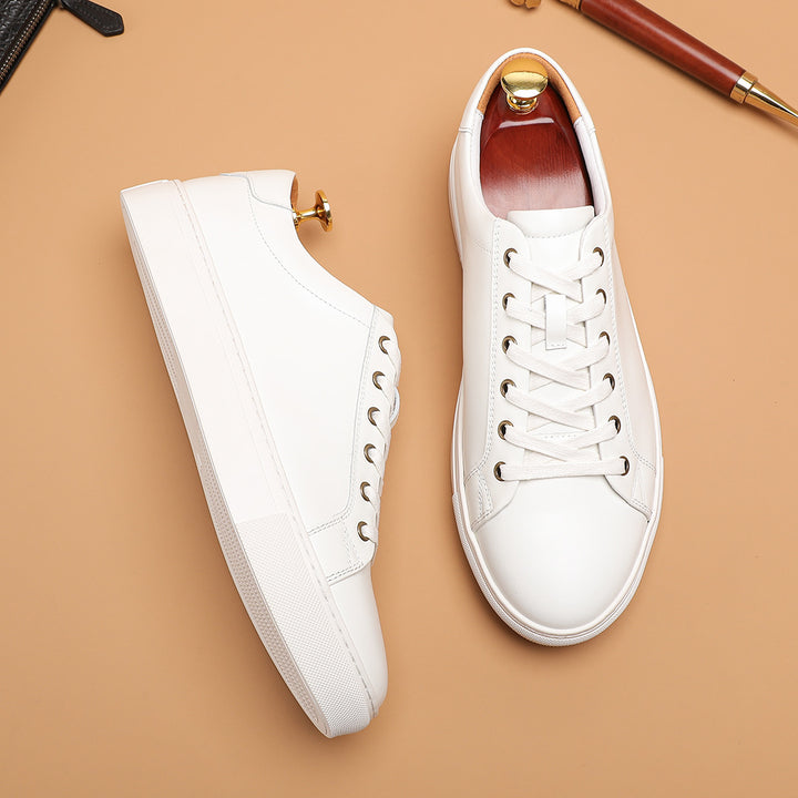 Delmar Leather Shoes