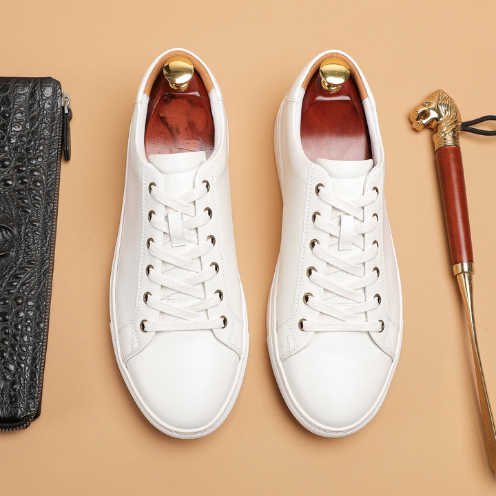 Delmar Leather Shoes